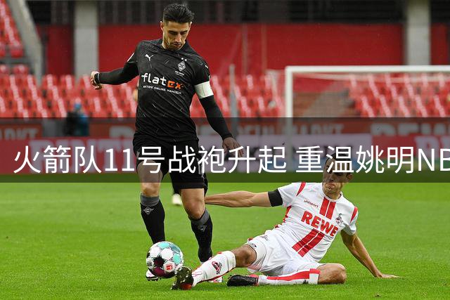 火箭队11号战袍升起 重温姚明NBA退役高光时刻